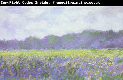Claude Monet Field of Yellow Iris at Giverny